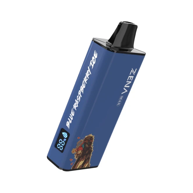 2024Factory Direct Sales-12000puffs Disaposable Vape Customizable