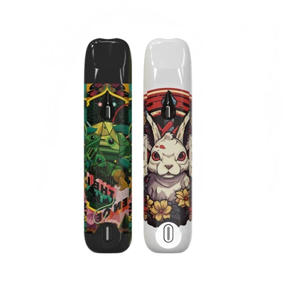 Pólland No.1 Hot Selling 2ml Prenta/Límmiði Tóm CBD/HHC Olíutæki Pod Vape Starter Kit